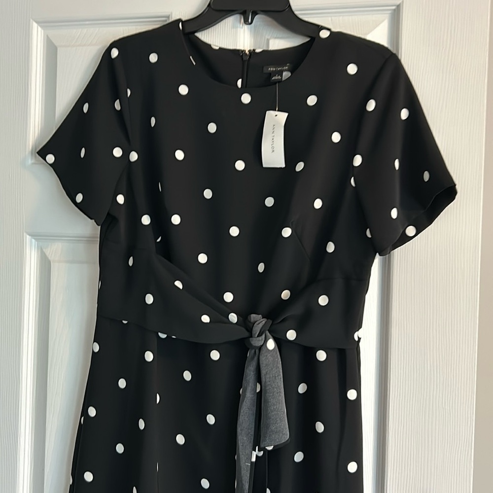 Dress Ann Taylor brand new with the tag,beautiful just small for me